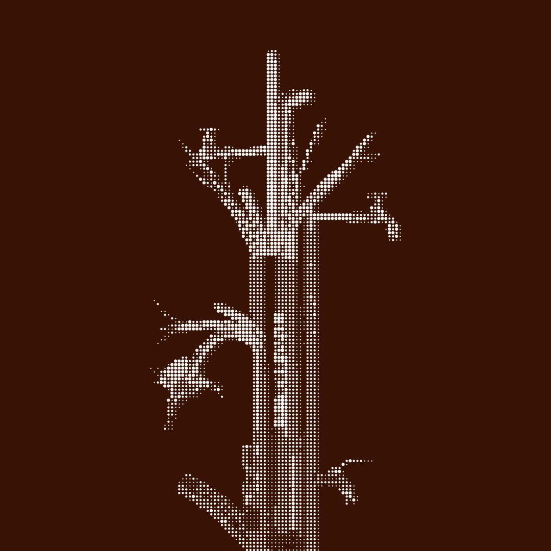 Espace infinie — 1er Biennale d'architecture [Pékin, Chine]