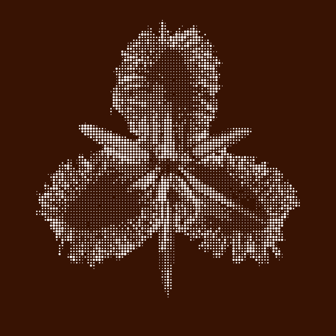 Matière vivant, vivants, Fabrication digitale — France design week, Halle de la cité [Toulouse, France]